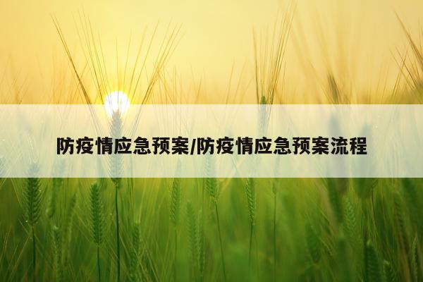 防疫情应急预案/防疫情应急预案流程