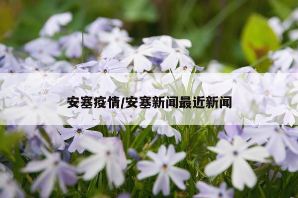安塞疫情/安塞新闻最近新闻