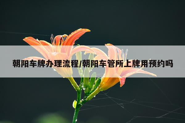朝阳车牌办理流程/朝阳车管所上牌用预约吗