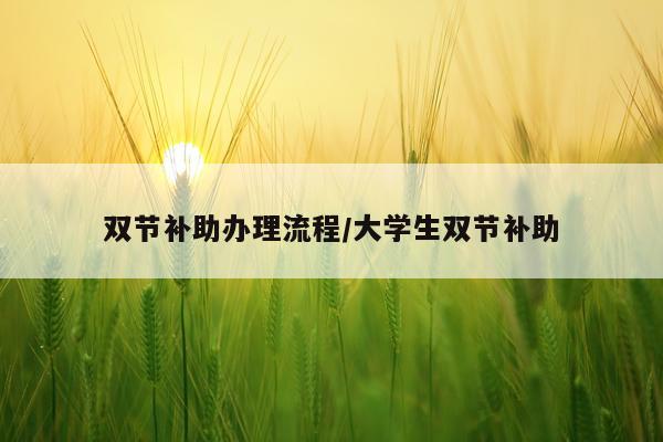 双节补助办理流程/大学生双节补助