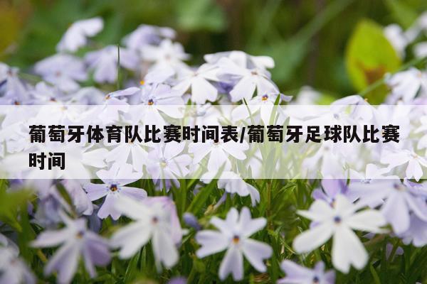 葡萄牙体育队比赛时间表/葡萄牙足球队比赛时间