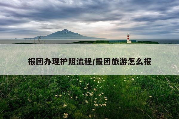 报团办理护照流程/报团旅游怎么报