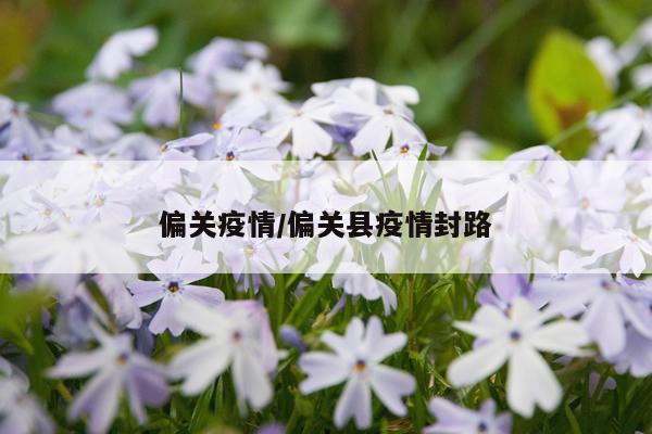 偏关疫情/偏关县疫情封路