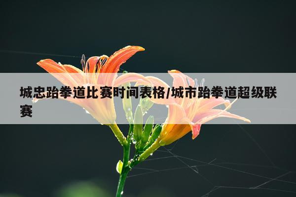 城忠跆拳道比赛时间表格/城市跆拳道超级联赛