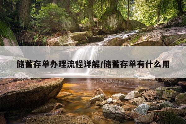 储蓄存单办理流程详解/储蓄存单有什么用