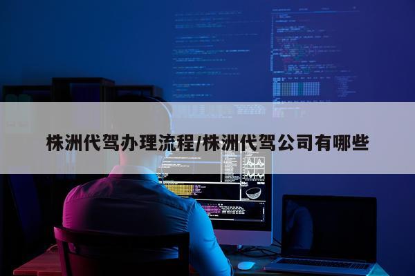 株洲代驾办理流程/株洲代驾公司有哪些