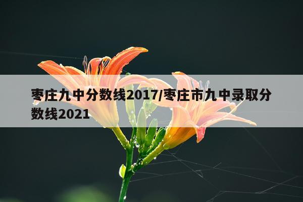 枣庄九中分数线2017/枣庄市九中录取分数线2021