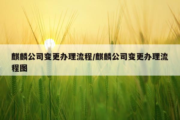 麒麟公司变更办理流程/麒麟公司变更办理流程图