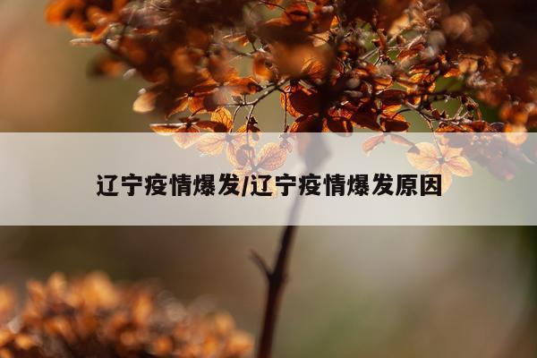 辽宁疫情爆发/辽宁疫情爆发原因