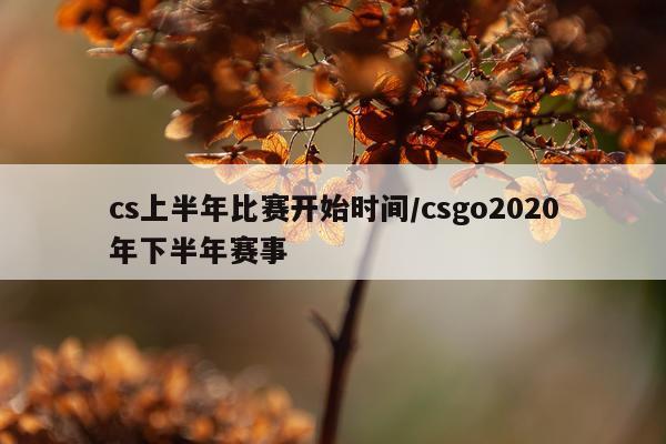 cs上半年比赛开始时间/csgo2020年下半年赛事