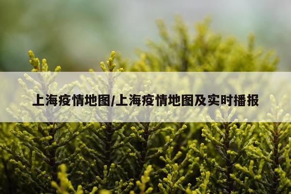 上海疫情地图/上海疫情地图及实时播报