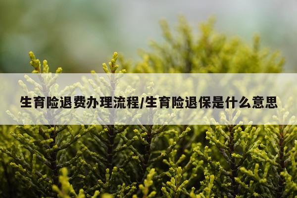 生育险退费办理流程/生育险退保是什么意思