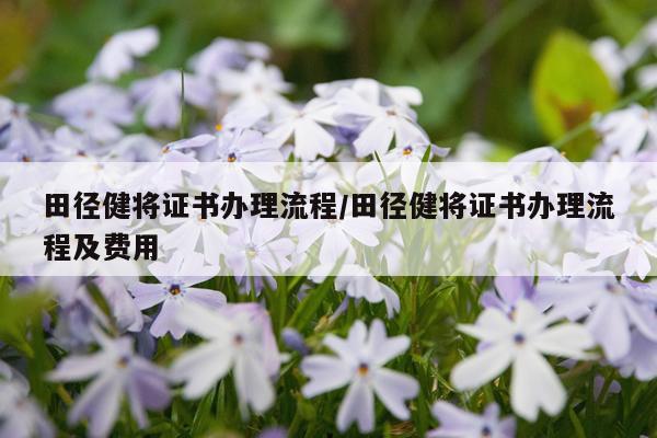 田径健将证书办理流程/田径健将证书办理流程及费用