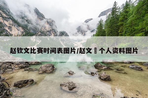 赵钦文比赛时间表图片/赵文瑄个人资料图片