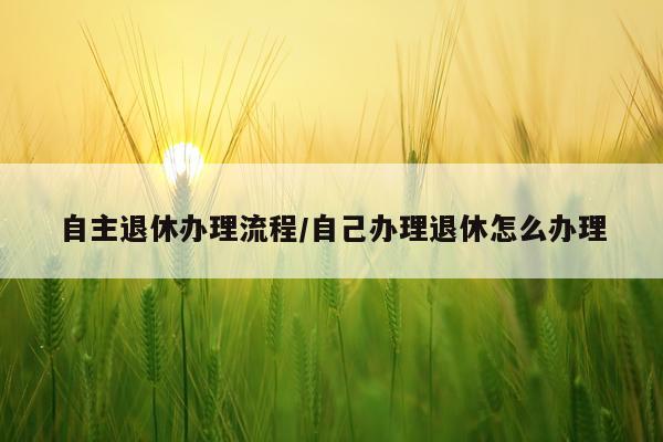 自主退休办理流程/自己办理退休怎么办理