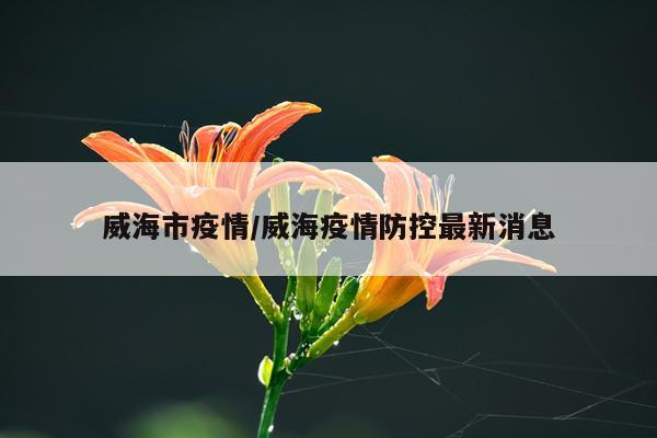 威海市疫情/威海疫情防控最新消息