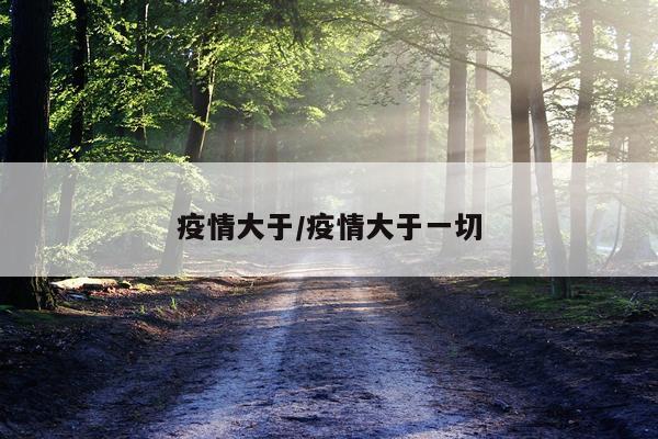疫情大于/疫情大于一切