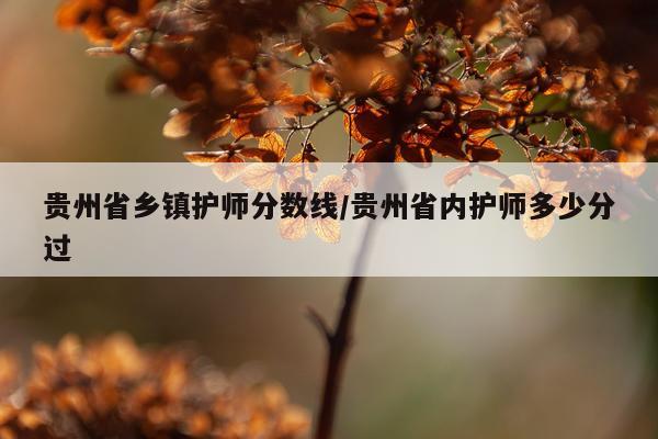 贵州省乡镇护师分数线/贵州省内护师多少分过
