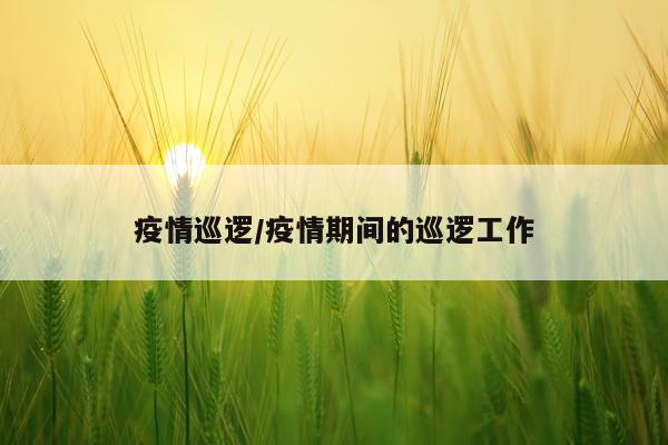 疫情巡逻/疫情期间的巡逻工作