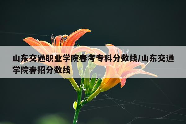 山东交通职业学院春考专科分数线/山东交通学院春招分数线
