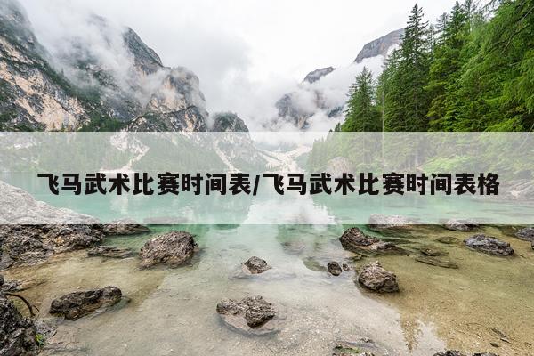 飞马武术比赛时间表/飞马武术比赛时间表格