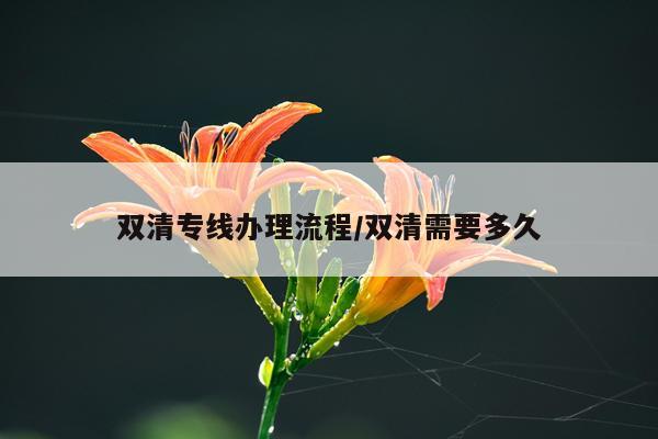 双清专线办理流程/双清需要多久