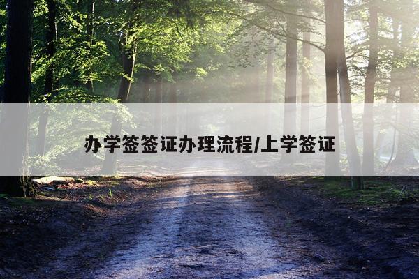 办学签签证办理流程/上学签证