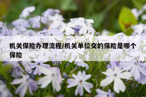 机关保险办理流程/机关单位交的保险是哪个保险