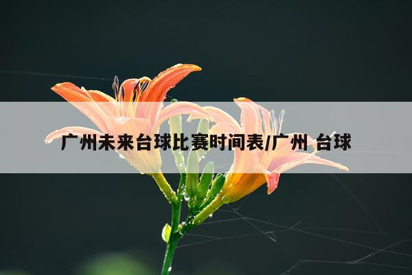 广州未来台球比赛时间表/广州 台球