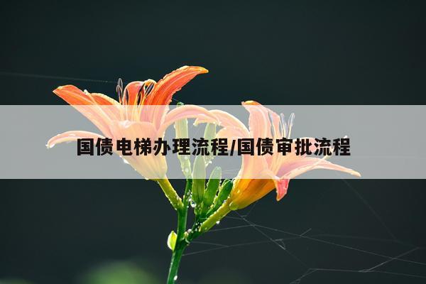 国债电梯办理流程/国债审批流程