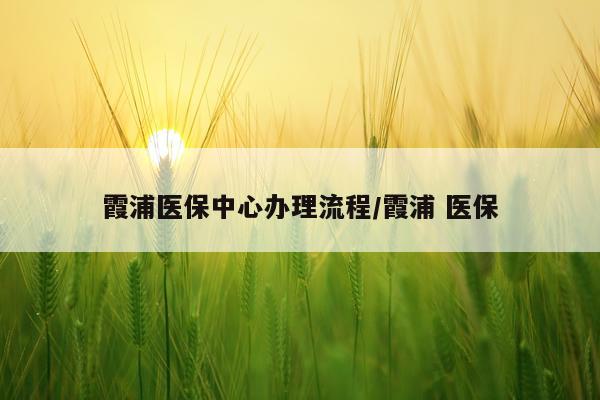 霞浦医保中心办理流程/霞浦 医保