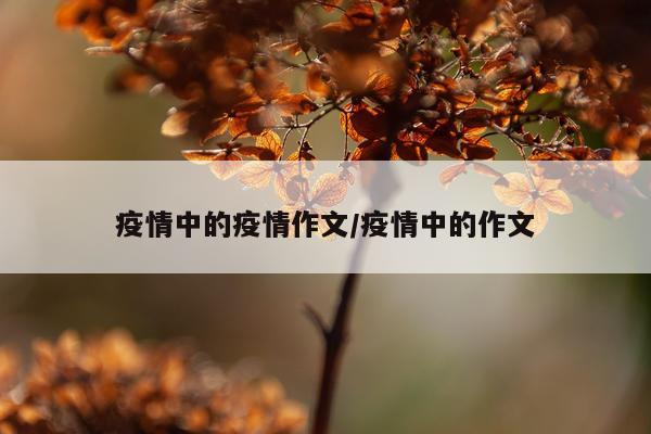 疫情中的疫情作文/疫情中的作文