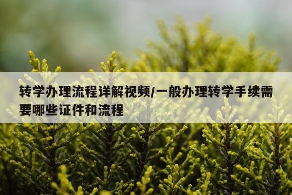 转学办理流程详解视频/一般办理转学手续需要哪些证件和流程