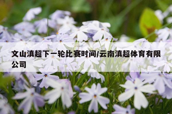 文山滇超下一轮比赛时间/云南滇超体育有限公司