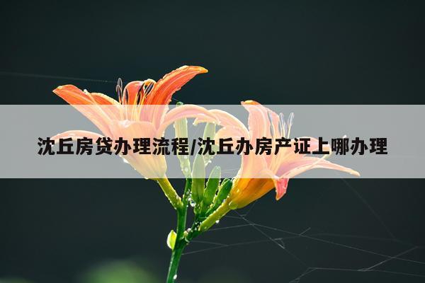 沈丘房贷办理流程/沈丘办房产证上哪办理