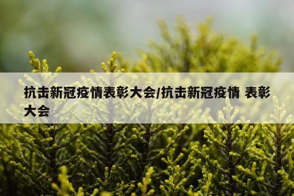 抗击新冠疫情表彰大会/抗击新冠疫情 表彰大会