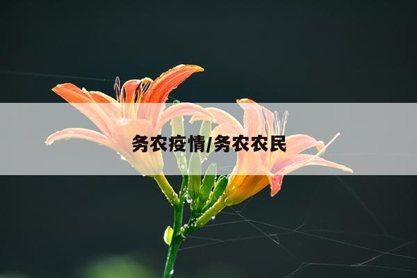 务农疫情/务农农民