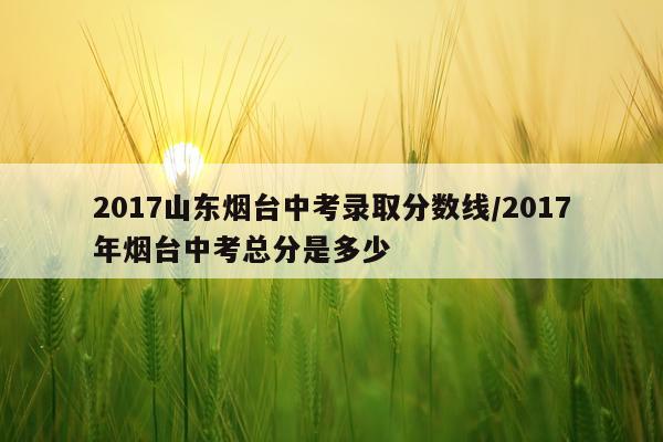 2017山东烟台中考录取分数线/2017年烟台中考总分是多少
