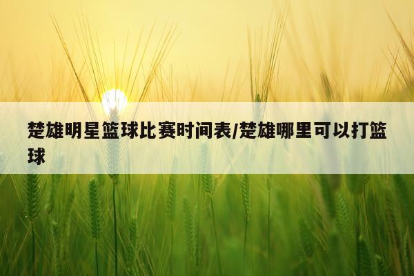 楚雄明星篮球比赛时间表/楚雄哪里可以打篮球