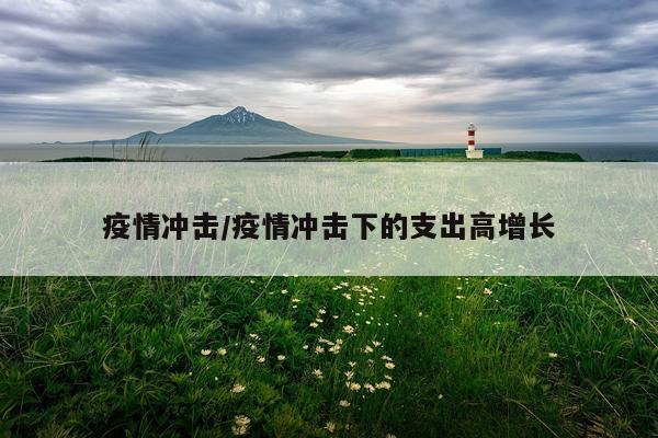 疫情冲击/疫情冲击下的支出高增长