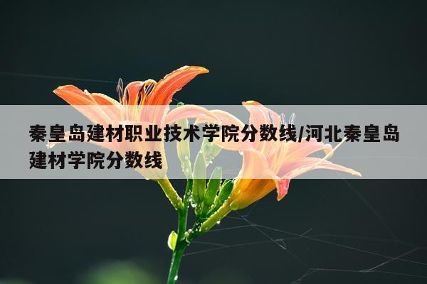 秦皇岛建材职业技术学院分数线/河北秦皇岛建材学院分数线