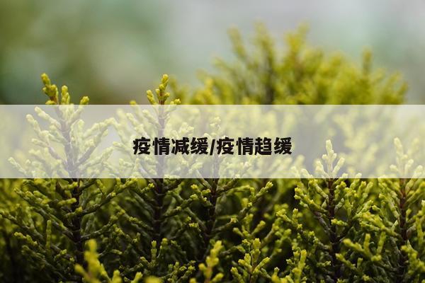 疫情减缓/疫情趋缓