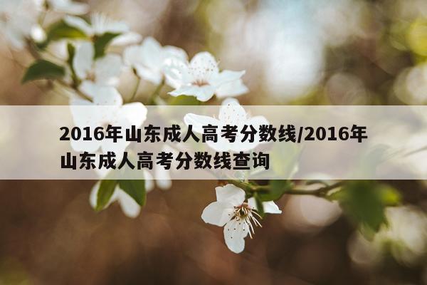 2016年山东成人高考分数线/2016年山东成人高考分数线查询
