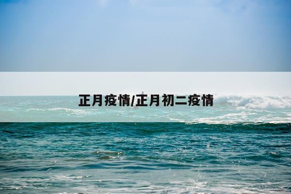 正月疫情/正月初二疫情
