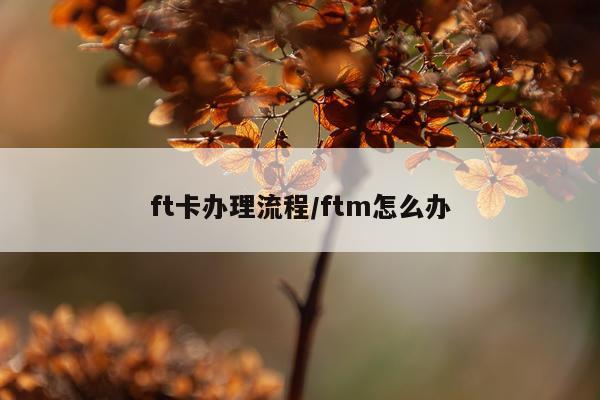 ft卡办理流程/ftm怎么办