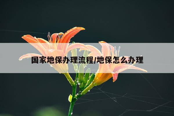 国家地保办理流程/地保怎么办理