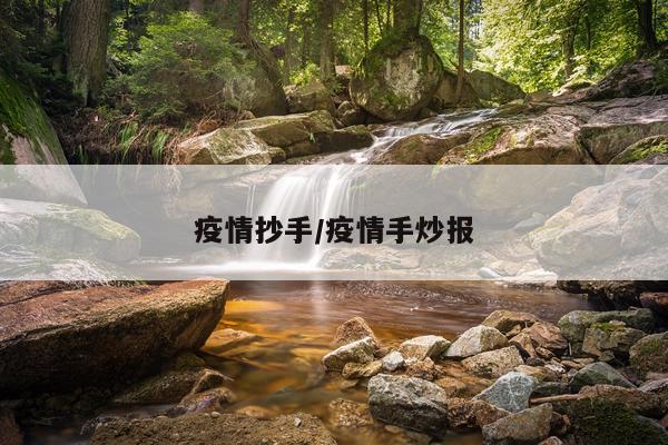 疫情抄手/疫情手炒报