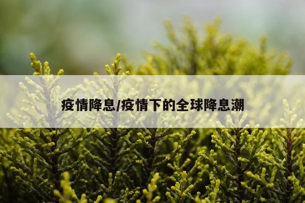 疫情降息/疫情下的全球降息潮
