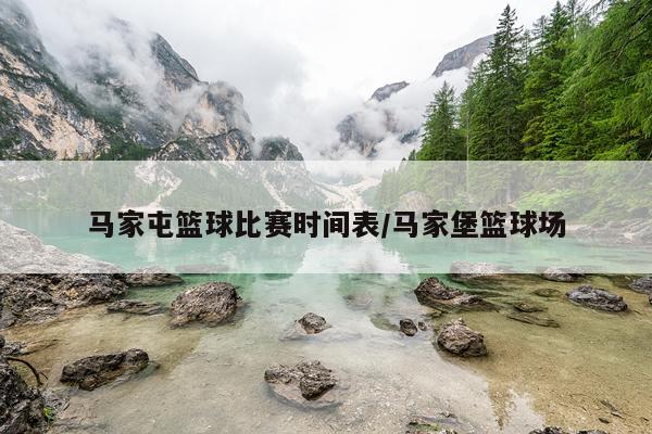 马家屯篮球比赛时间表/马家堡篮球场