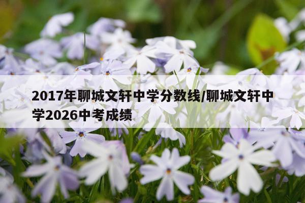 2017年聊城文轩中学分数线/聊城文轩中学2026中考成绩
